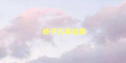 柿子树几年能结柿子(柿子树几年就可以结果)